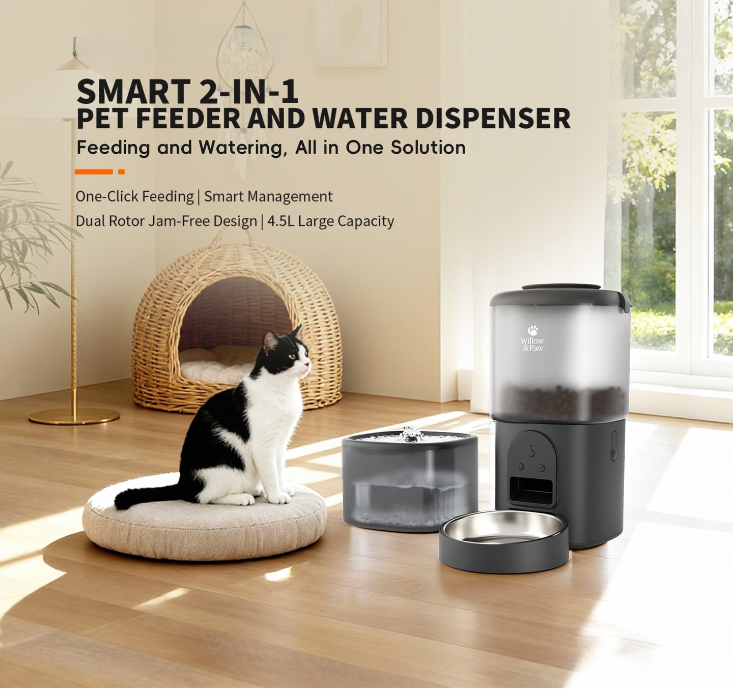 A black and white cat on a cushion beside the black feeder and fountain in a sunny room